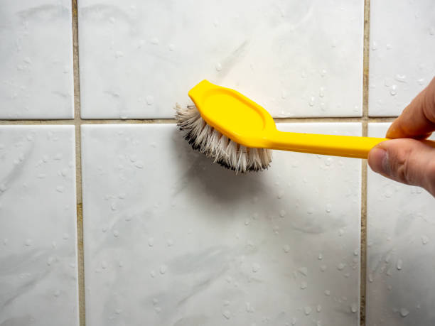 Best Home Mold Removal  in Hampstead, NC