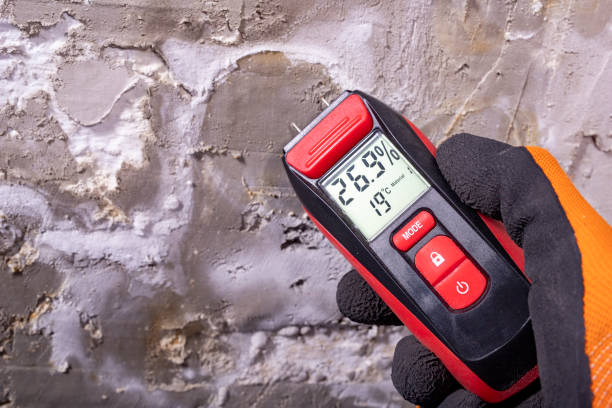 Attic Mold Removal in Hampstead, NC
