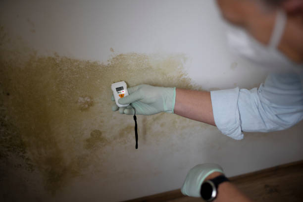Best Crawl Space Mold Removal  in Hampstead, NC