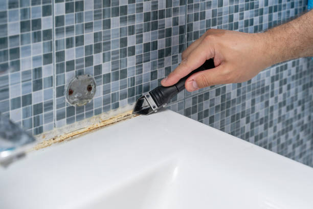 Best Best Mold Removal Companies  in Hampstead, NC