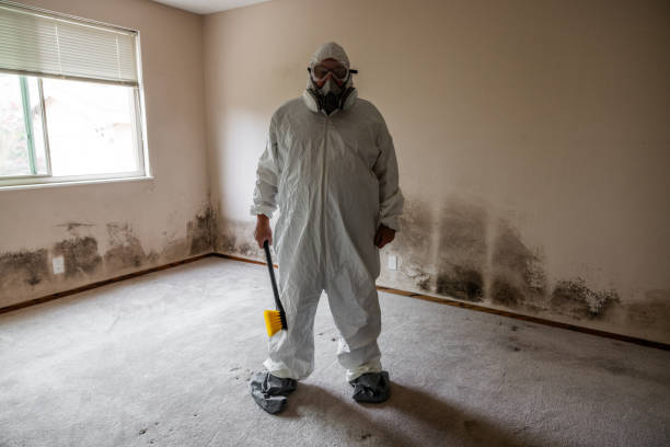 Best Mold Testing  in Hampstead, NC